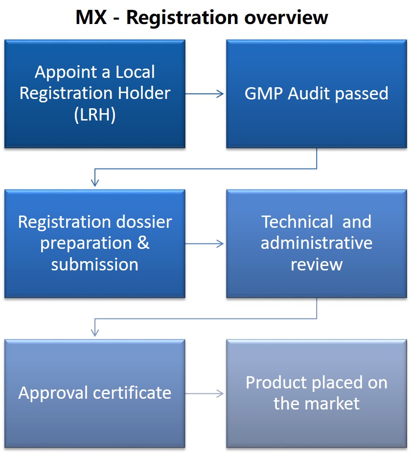 MX market process.jpg